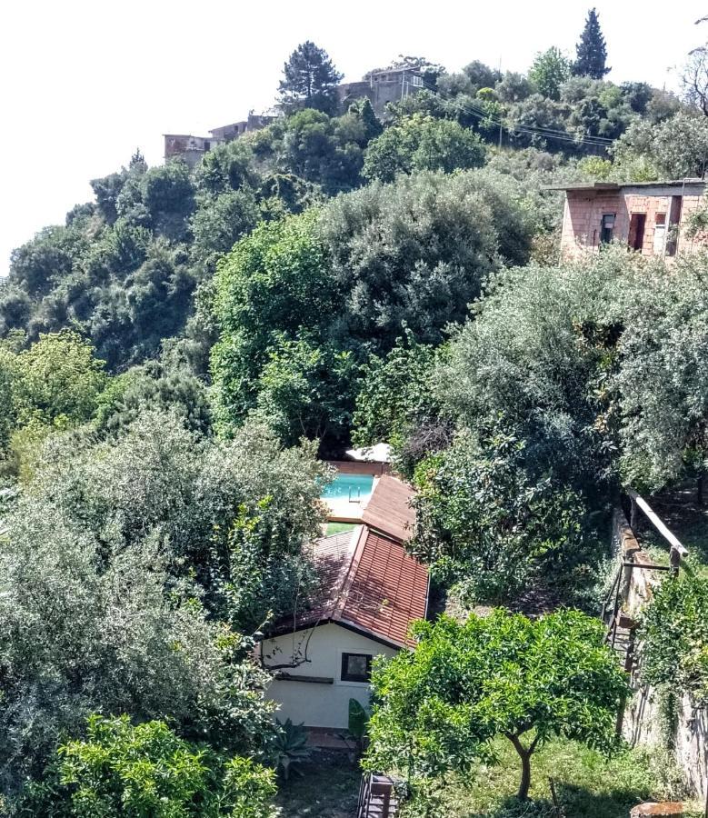 Flat With Panoramic Terrace And Private Pool Mt5X3 Daire Taormina Dış mekan fotoğraf