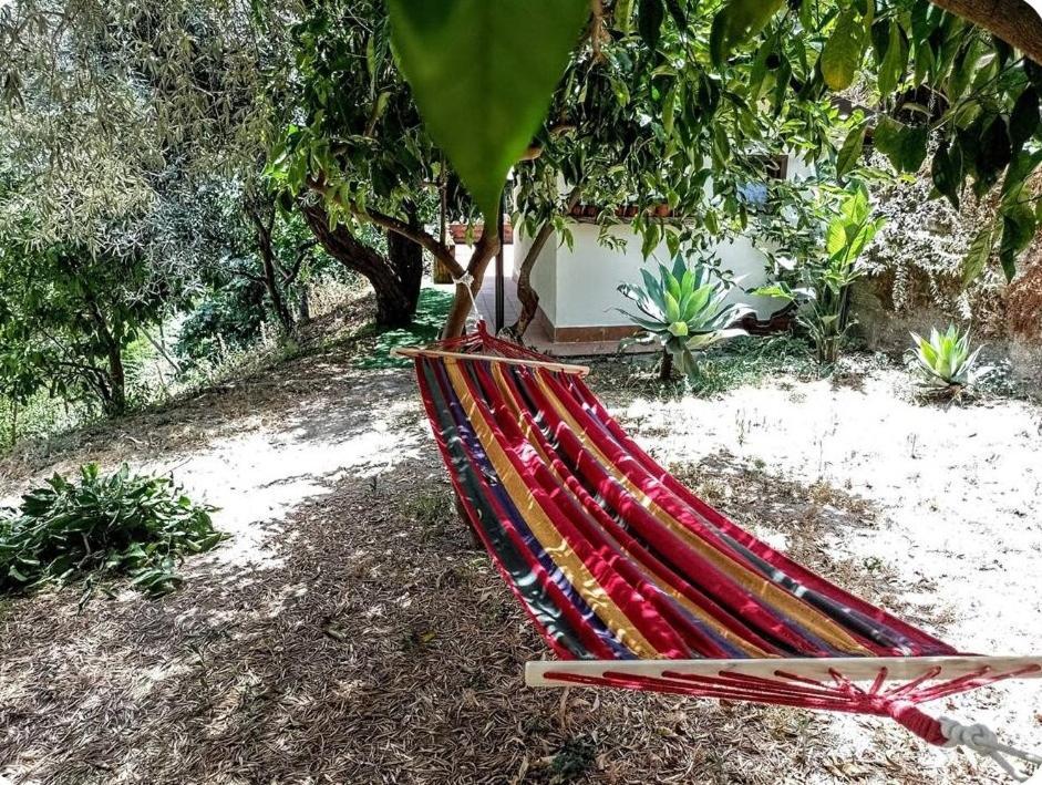 Flat With Panoramic Terrace And Private Pool Mt5X3 Daire Taormina Dış mekan fotoğraf
